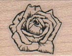 Rose 1 x 1-0