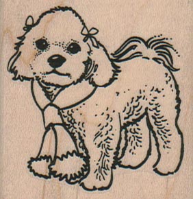 Bichon In Scarf 2 x 2-0