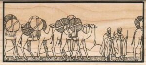 Camel Scene 2 3/4 x 6-0