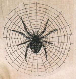 Spider On Web 3 x 3-0