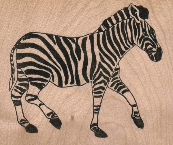 Zebra Walking 3 1/4 x 2 3/4-0