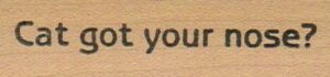 Cat Got Your Nose? 3/4 x 2 3/4-0