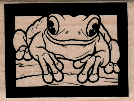 Framed Frog 1 1/2 x 2-0