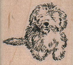 Fluffy Bichon/Maltese Puppy 1 3/4 x 1 1/2-0