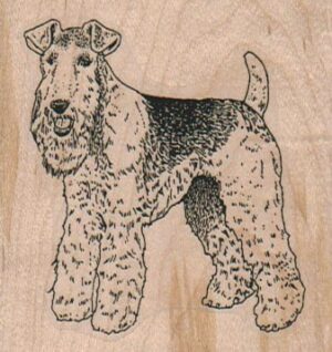 Wire Haired Fox Terrier 2 1/2 x 2 1/2-0