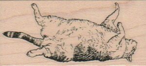 Sleeping Cat 1 1/2 x 3-0