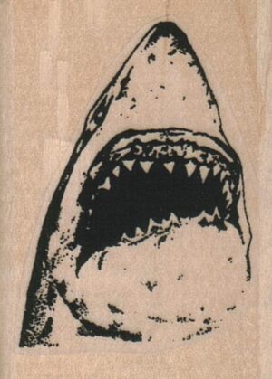 Shark Head/Small 1 1/2 x 2-0