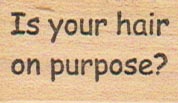 Is Your Hair On Purpose? 3/4 x 1 1/4-0