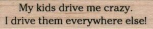 My Kids Drive Me Crazy. 3/4 x 2 3/4-0