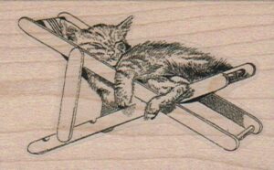 Kitten Lounging 2 x 3-0