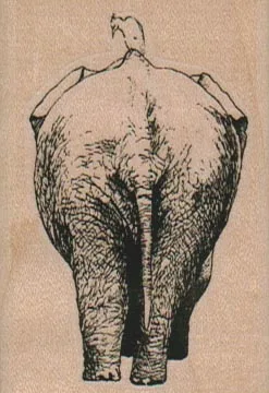 Elephant And Bird 1 3/4 x 2 1/2-0