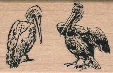 Two Pelicans 1 3/4 x 2 1/2-0