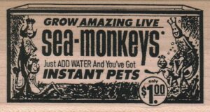 Sea-Monkeys 2 x 3 1/2-0