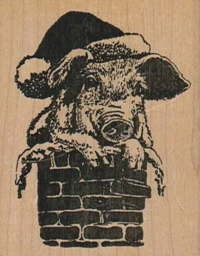 Santa Pig 2 x 2 1/2-0