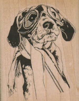 Aviator Beagle Dog 2 x 2 1/2-0