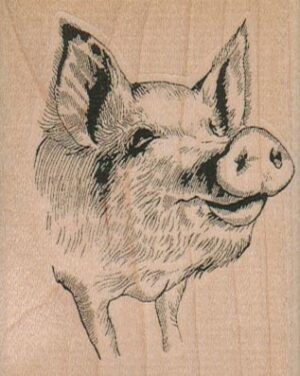 PigFace 2 1/4 x 2 3/4-0