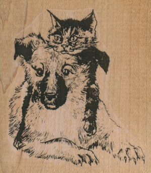 Cat And Dog Buddies 2 1/2 x 2 3/4-0