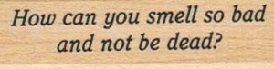 How Can You Smell So Bad 3/4 x 2 1/4-0