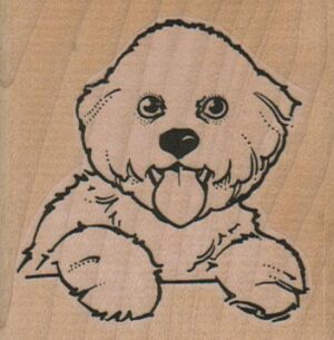 Panting Bichon 2 1/2 x 2 1/2-0