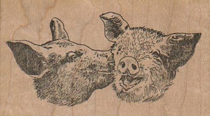 Kissing Pigs 3 x 1 3/4-0