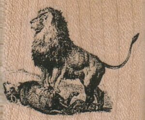 Lion 1 1/2 x 1 1/4-0