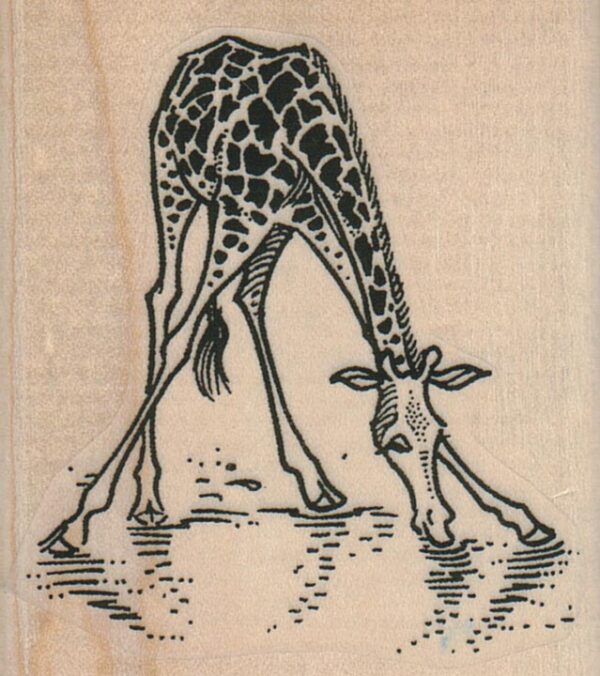 Giraffe Drinking 2 1/4 x 2 1/2-0