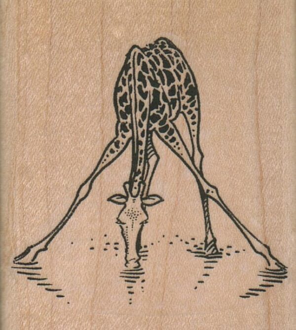 Giraffe Drinking/Legs Apart 2 1/4 x 2 1/4-0