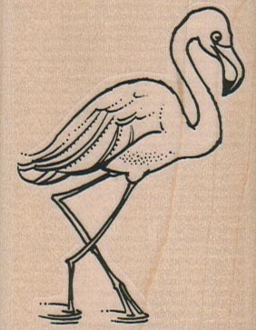 Flamingo Wading 2 x 2 1/2-0