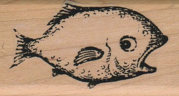 Surprised Fish 1 1/4 x 2 1/4-0