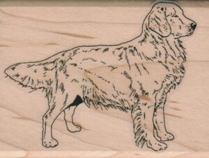 Dog Side View 2 1/4 x 3-0