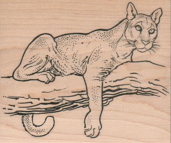 Mountain Lion On Branch 3 1/4 x 3 1/2-0