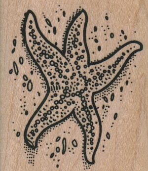 StarFish 1 3/4 x 2-0