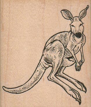 Kangaroo Hopping 3 1/4 x 3 3/4-0