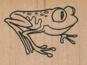 Frog 2 x 1 1/2-0