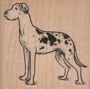 Harlequin Great Dane 2 3/4 x 2 3/4-0