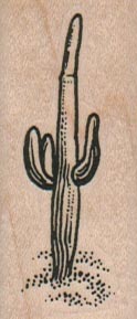 Saguaro Cactus 1 x 2-0