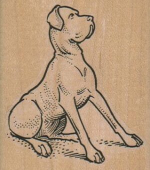 Sitting Great Dane 2 1/4 x 2 1/2-0