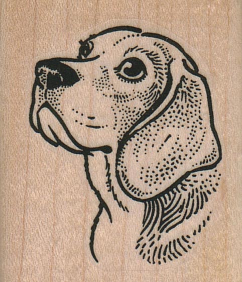 Beagle Dog Head 1 3/4 x 2-0