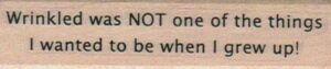 Wrinkled Was Not One 3/4 x 2 3/4-0