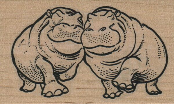 Hippos Nuzzling 2 x 3-0