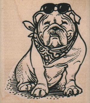 Bulldog With Scarf/Glasses 2 1/4 x 2 1/2-0