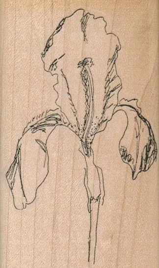 Iris 2 1/4 x 3 3/4-0