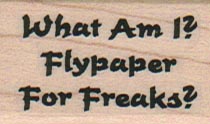 What Am I? Flypaper 1 x 1 1/2-0