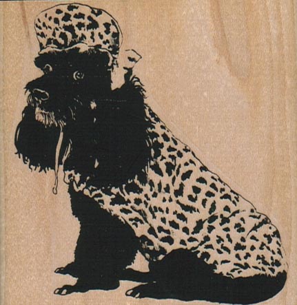 Poodle In Spotted Coat & Hat 3 x 3 1/4-0
