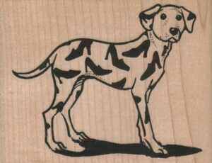 Shoe Dalmatian Dog 3 x 2 1/4-0