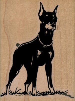 Doberman Dog Standing 2 1/2 x 3 1/4-0