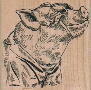 Pig In SunGlasses 2 1/2 x 2 1/2-0