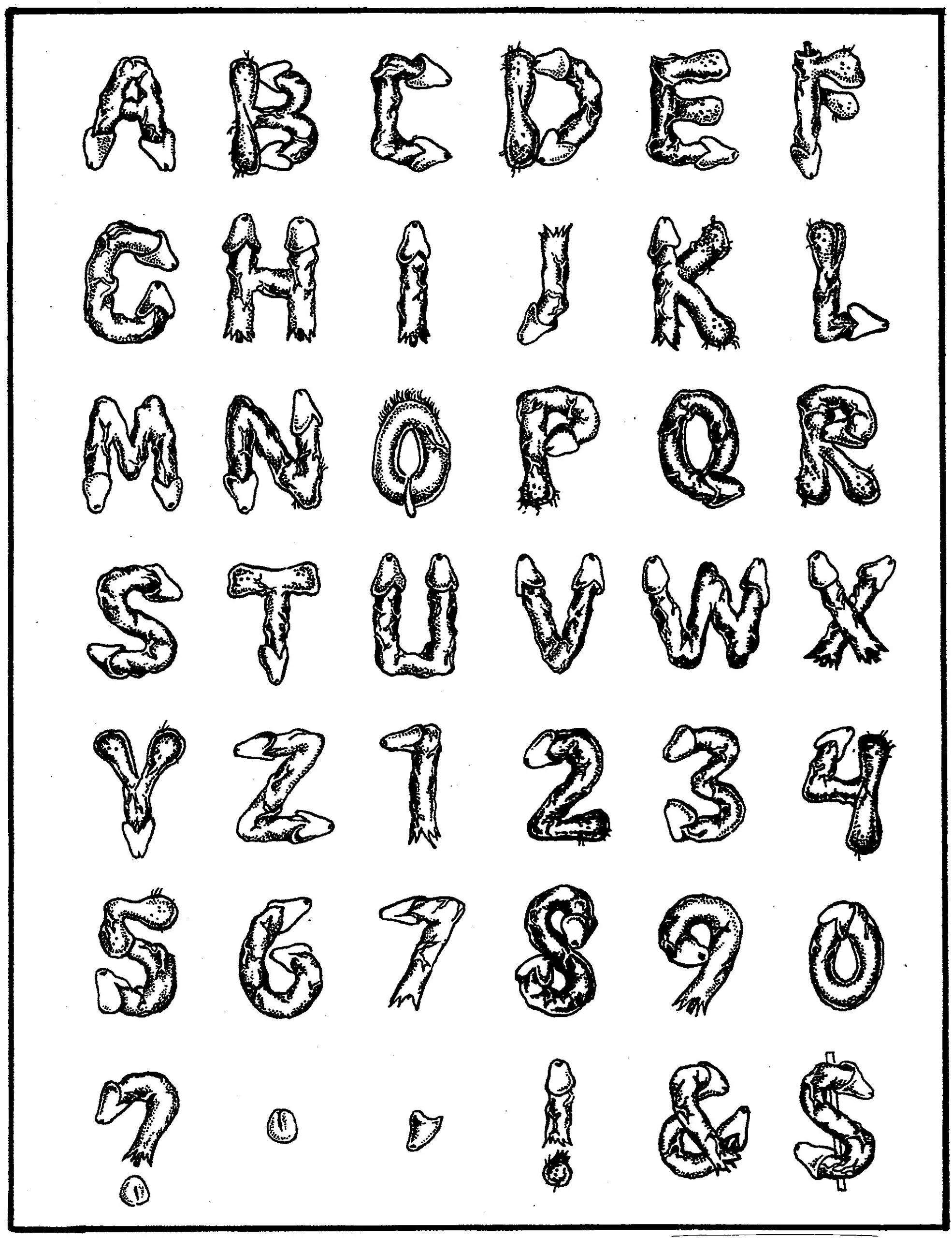 Naughty Parts Alphabet (Unmounted)-0