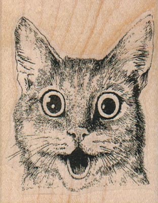 Surprised Kitty Cat 2 1/4 x 2 3/4-0