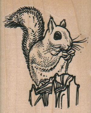 Squirrel Eating A Nut 2 1/4 x 2 3/4-0